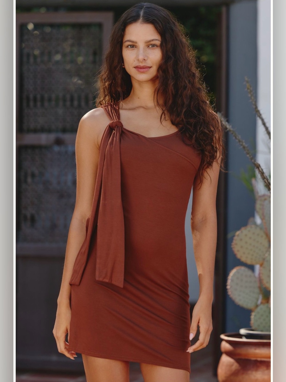 Celandine Jersey Draped Mini Dress - Chocolate Lab - Sz Large - NWT